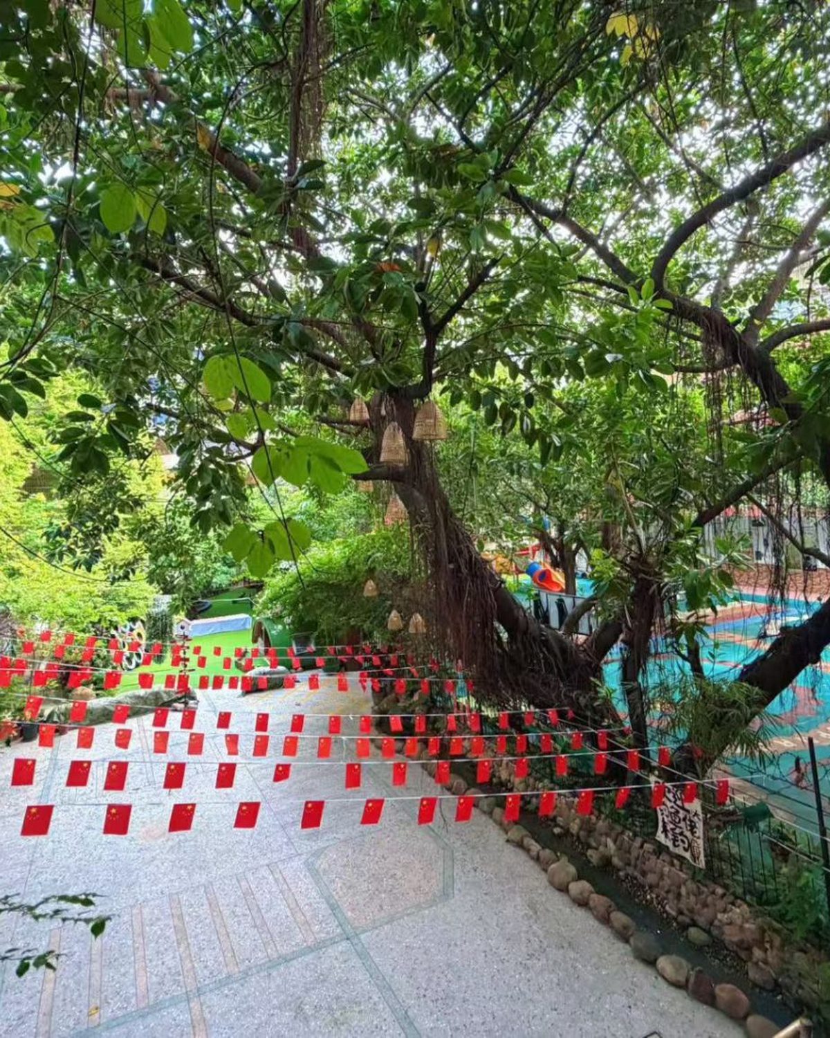 中杰幼儿园园林式校园 绿树成荫 红旗飘飘