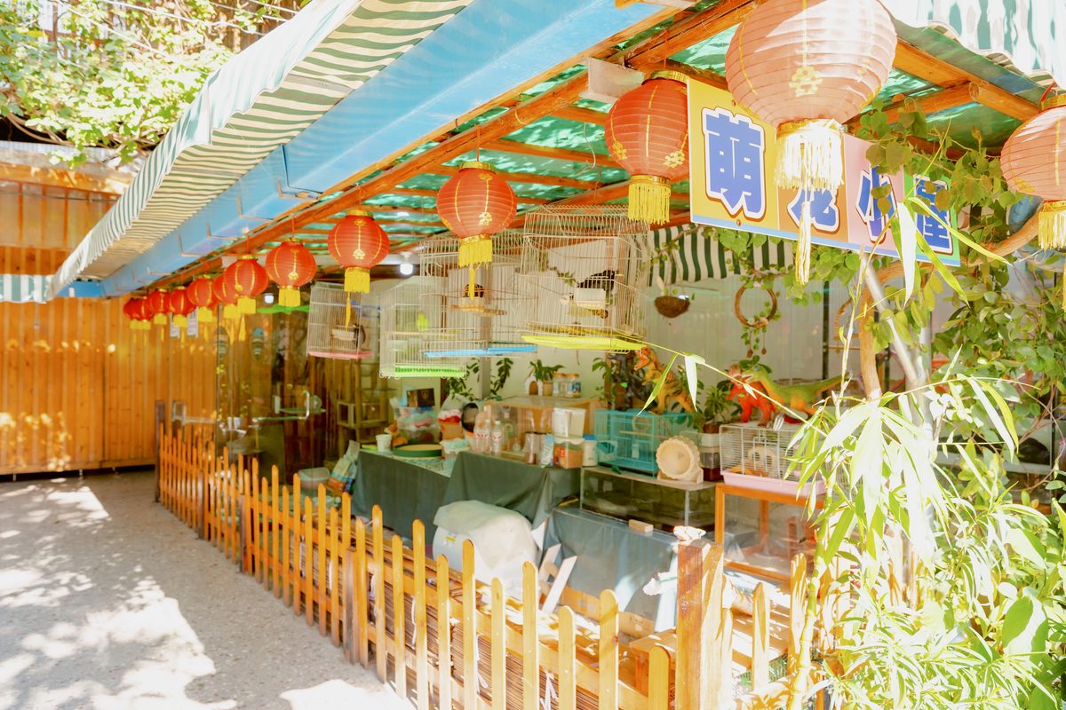 中杰幼儿园 萌宠观察屋