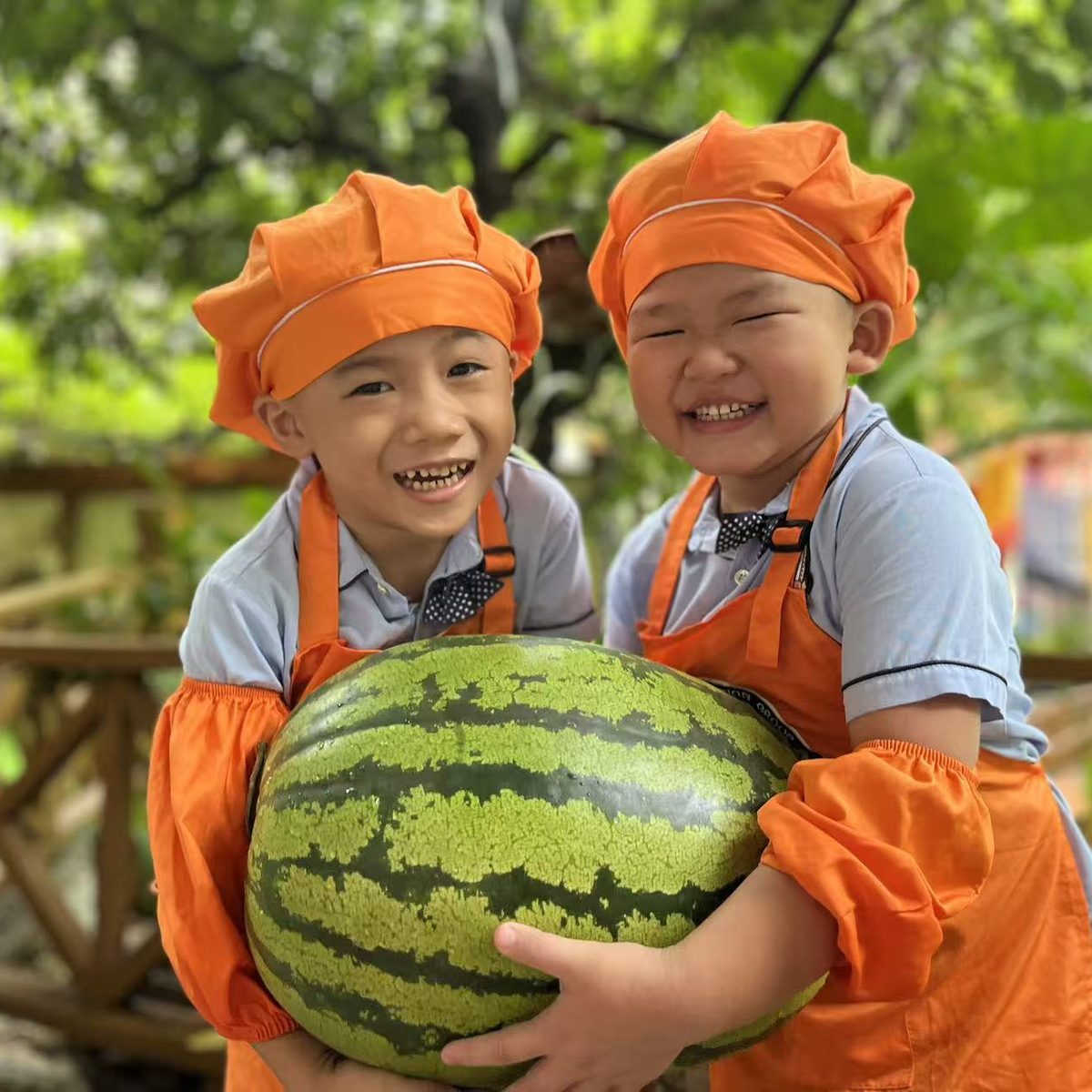 中杰幼儿园食育课程--制作西瓜耶耶